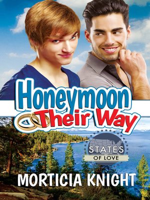 cover image of Honeymoon Their Way